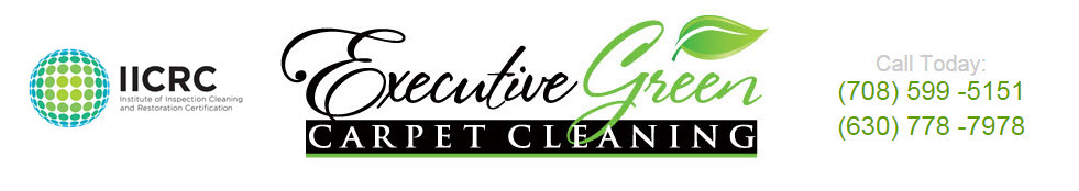 [Executive Green Carpet Cleaning, LLC]